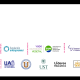 graficas-seminarios-educativos-aprendizaje-matematica-eduten-entrepreneur-antofagasta-5